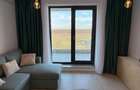 Închiriere Apartament 2 camere în Baneasa - 4