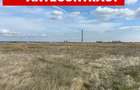 Teren 10.000 mp zona industriala Albota 10 euro mp -Arges - 1
