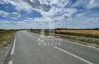 Teren 55.000 mp, front stradal 354 ml, asfalt, Remetea Mare -Ianova. - 3