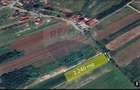 1.500 eur/ar - TEREN INTRAVILAN in Lapusel - 2
