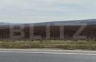 Teren extravilan, 7100 mp, E58, zona Scheia posibilitate extindere