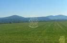 Teren 13400mp la DN 17-parcelabil Podirei - 3