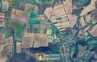 Terenuri agricole de vânzare în Arad – Comuna Tăuț - 2