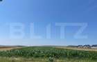Teren Intravilan, 10300 mp, zona Mitocului - 2
