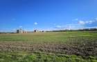 Teren intravilan Balotesti / 5.000 mp / D: 18 m / langa lac / comision 0% - 8