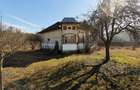 Proprietate cu 2.109 m² teren intravilan și două case, în Olanu - 3