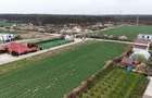 Teren intravilan, 6444 mp, front 20 m | Balotesti - 3