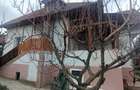 Casa individuala 4 camere in Buna Ziua, teren 200 mp, utili 120 mp - 3