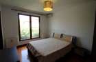 Vila renovata in apropiere de Iancu Nicolae - 9