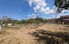 Teren intravilan de vanzare | Tileagd | jud. Bihor - 2