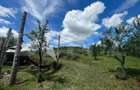 Propietate rara! 125 mp, 2.000 mp teren, priveliste panoramica - 20