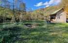 Teren extravilan de 1000mp, cabana, acces direct la pârâu, zona Lacul Tarnita - 2