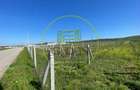 Teren intravilan 8.677 mp cu utilități în Răcari, zona Vatra Romana - 2