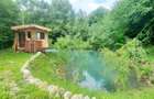 Casa de vacanta superba cu lac Rasnov-Glejerie - 7
