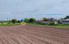 Teren- Com. Stefan cel Mare- jud. Neamt - 8