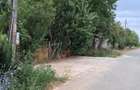 Teren Intravilan  in Tismana (Comuna Devesel), la 200 ml de Dunare - 5