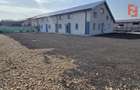 Spatiu comercial pe doua fronturi, finisat la cheie, 430 mp utili - Giroc - 2