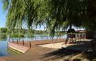 Conac lac Snagov cu ponton - 38