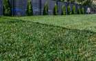 Tomis III , spatii IDEAL BIROURI, 2 camere, curte, constructie 2023 - 11