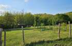  Teren intravilan Spre Manastirea Feredeu Șiria Jud. Arad  - 3