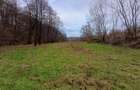 Resita, Teren Drept Intravilan, Langa Prau si Drum, Parcelabil, 4500 Mp., 15 Eur - 4