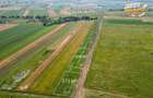 2 terenuri intravilane construibile aproape de Sfantu Gheorghe - 15