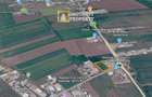 De vânzare teren intravilan – 5.000 mp – Livada, județul Arad - 5