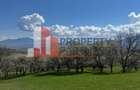 Terenuri Bran - Predelut  Priveliște către Bucegi și Postăvaru - 16