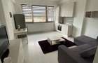 Apartament cu 1 camera tip studio in Tatarasi-Doi Baieti,bloc nou - 6