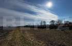 Teren extravilan 3100 mp cu ieșire la râul Mureș - 7