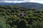 Casă in mijlocul naturii in orașul Câmpulung