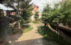 Colentina Strada Turiștilor - 50