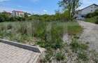 Teren de 4075 mp, zona Cetate - 2