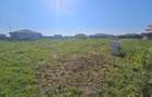 Teren Ghiroda, Zona Bistra – Regim P+1+M | Urbanism  Casă/Duplex- 1140 mp !! - 3