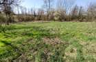 Rachitova, Casa 8 Incaperi, 3800mp Teren, Usor Negociabil - 6