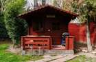Casă Individuală Elegantă în centrul Timișoarei - 41