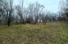 Teren Breaza 2623mp , pot 35% , cut 1,2 conform cert urb.intravilan - 6