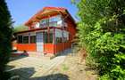 VILA CU PISCINA SCROVISTEA, IDEALA CAMIN DE BATRANI - 7