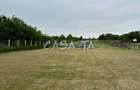 Teren Intravilan (5000 mp),situat in Lelesti, Com. Lelesti - 2
