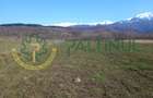 Vindem teren Sibiu, Valea Lupului, priveliste deosebita - 8
