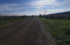 Dumbravita teren industrial 1700 mp 110000 euro - 1
