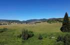 Teren in Bucovina! La Munte! De vanzare! 0727817187 - 1