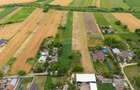 Teren generos de 5.292 m.p. in Silistea (Todiresti,Vaslui) - 5