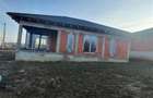 RECO Casa plan parter cu 3 dormitoare-la rosu- Paleu - 6