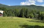 Teren intravilan 1662 mp pozitie superba-Calea Brasovului Valea Neagra - 14