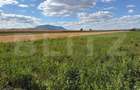 Teren intravilan, Puz aprobat parcele intre 500 - 700 mp