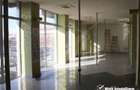 Spatiu comercial sau birouri 204mp piata Cipariu mezanin - 2