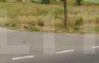 Teren intravilan 5.600 mp cu deschidere la DN12 – Chilieni, Covasna - 1