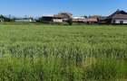 Teren 10.294 mp de vânzare Târgu Jiu | Intravilan + Extravilan | Utilități - 4