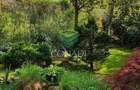 Vila teren 500 mp | Titeica – ideal sediu firma | langa Parcul Verdi - 4
